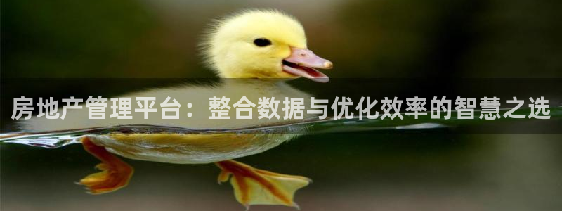 摩登7注册滴qv382223