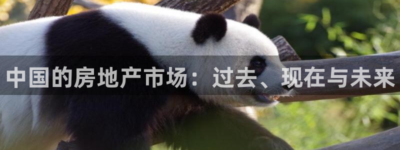 摩登7登陆