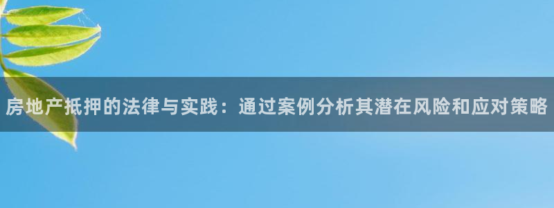 摩登系列摩登7：房地产抵押的法律与实践：通过案例分析其潜在风