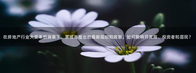 摩登7招商主管：在房地产行业大变革的背景下，某城市推出的最新