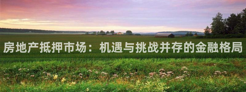 摩登7注册账号：房地产抵押市场：机遇与挑战并存的金融格局