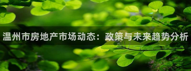 摩登6冯这7O667：温州市房地产市场动态：政策与未来趋势分