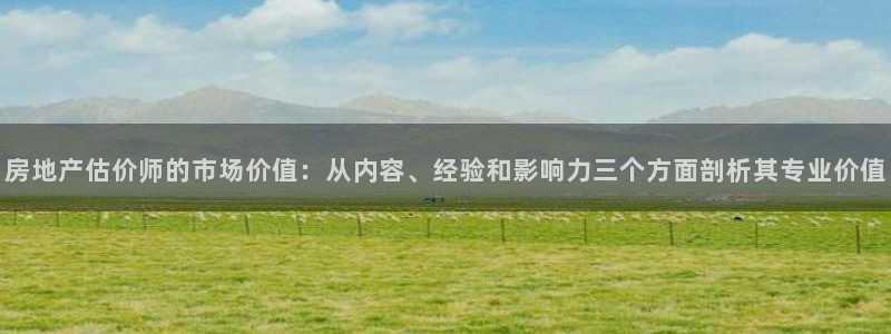 摩登3周这7O667：房地产估价师的市场价值：从内容、经验和