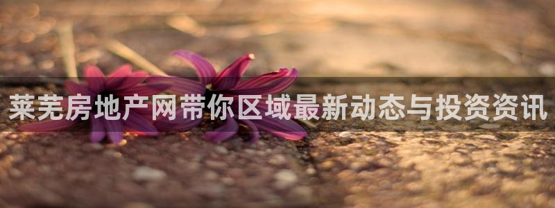 摩登7平台主管：莱芜房地产网带你区域最新动态与投资资讯