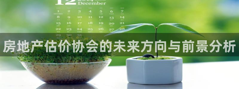 摩登7安全吗：房地产估价协会的未来方向与前景分析