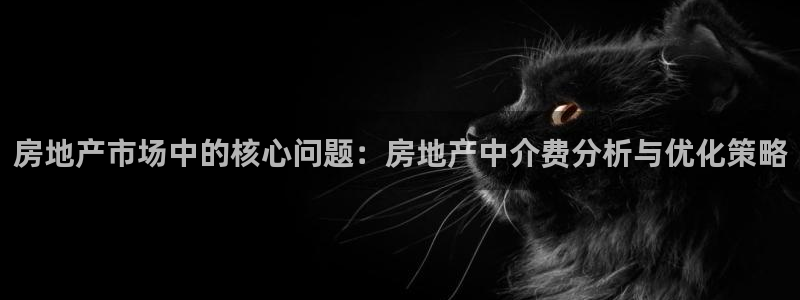 摩登7关：房地产市场中的核心问题：房地产中介费分析与优化策略