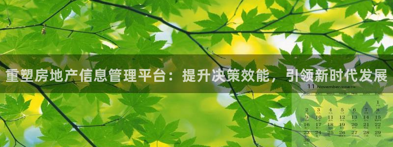 摩登平台标7O777：重塑房地产信息管理平台：提升决策效能，