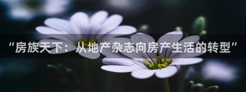 摩登7招商讨333OO：“房族天下：从地产杂志向房产生活的转