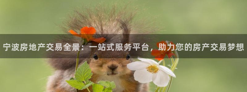 摩登7官网六柒五I38：宁波房地产交易全景：一站式服务平台，