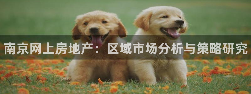 摩登7地3299O7：南京网上房地产：区域市场分析与策略研究