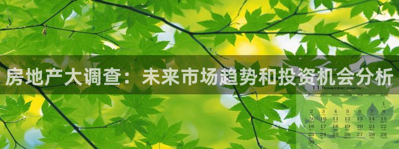 摩登7注册地址：房地产大调查：未来市场趋势和投资机会分析