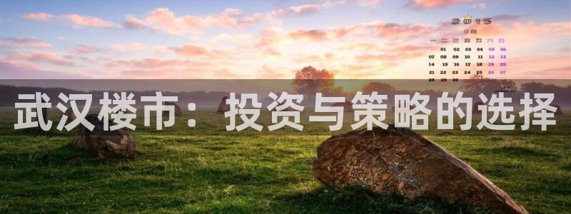 摩登5韩这7O667：武汉楼市：投资与策略的选择