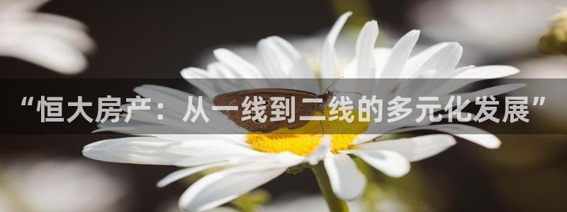 摩登7左：“恒大房产：从一线到二线的多元化发展”