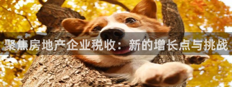 摩登7软件是什么原因：聚焦房地产企业税收：新的增长点与挑战
