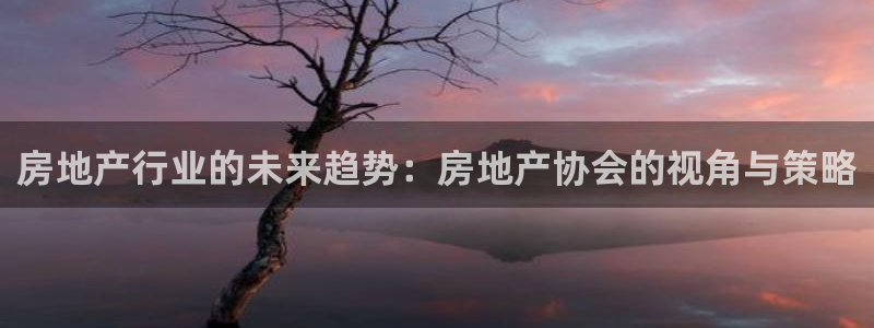 摩登7娱乐平台怎么样：房地产行业的未来趋势：房地产协会的视角