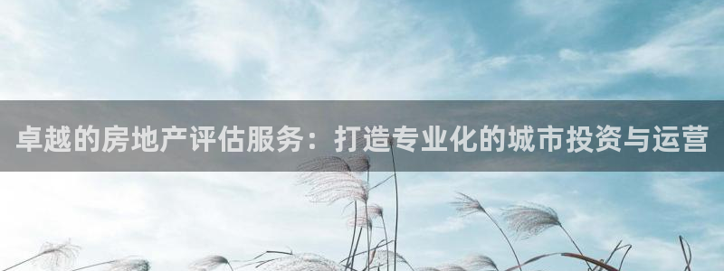摩登注册型7O777：卓越的房地产评估服务：打造专业化的城市