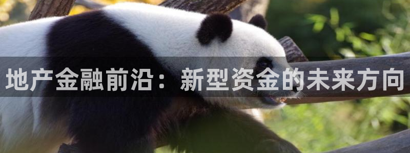 摩登系列摩登7：地产金融前沿：新型资金的未来方向