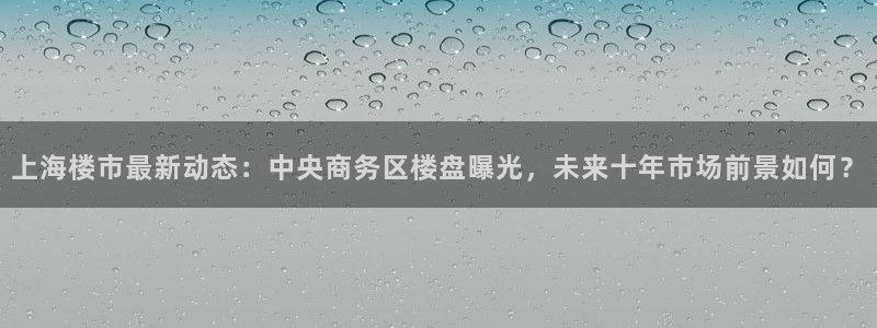 摩登7app网址下载：上海楼市最新动态：中央商务区楼盘曝光，