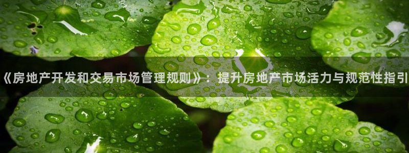摩登7级：《房地产开发和交易市场管理规则》：提升房地产市场活