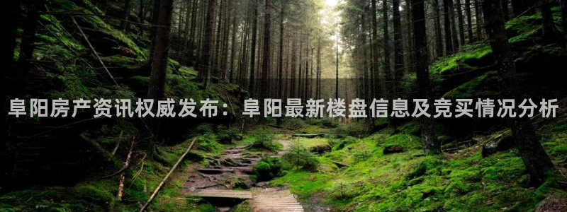 摩登5左7O667：阜阳房产资讯权威发布：阜阳最新楼盘信息及
