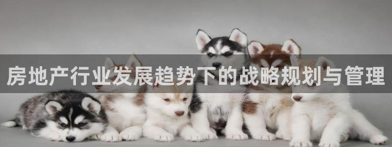 摩登7下：房地产行业发展趋势下的战略规划与管理
