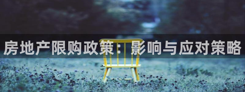 摩登7网彩正规吗：房地产限购政策：影响与应对策略