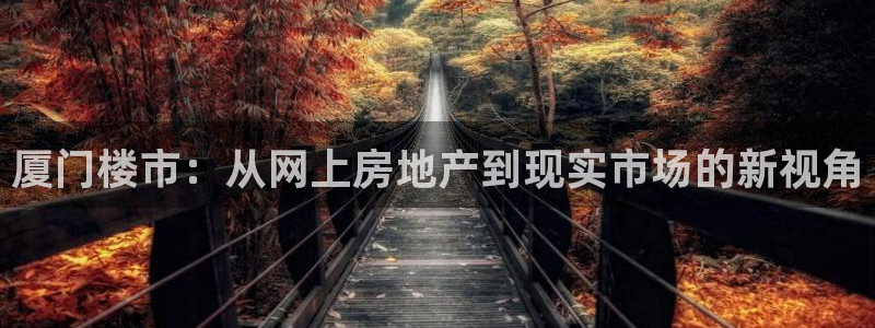 摩登4下7O667：厦门楼市：从网上房地产到现实市场的新视角