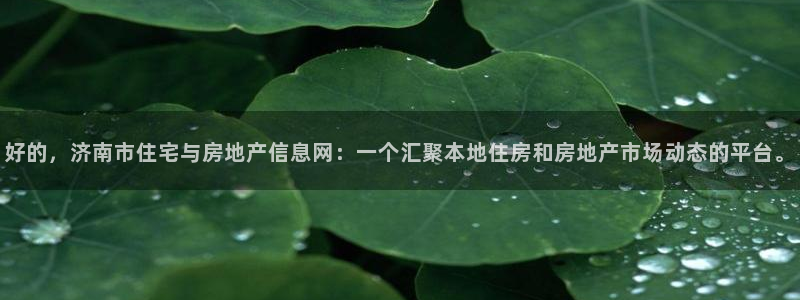 摩登精品7口碑极限：好的，济南市住宅与房地产信息网：一个汇聚