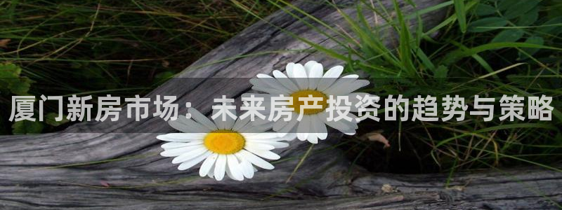 摩登3往找7O667：厦门新房市场：未来房产投资的趋势与策略