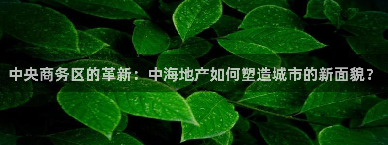 摩登7天3299O7：中央商务区的革新：中海地产如何塑造城市