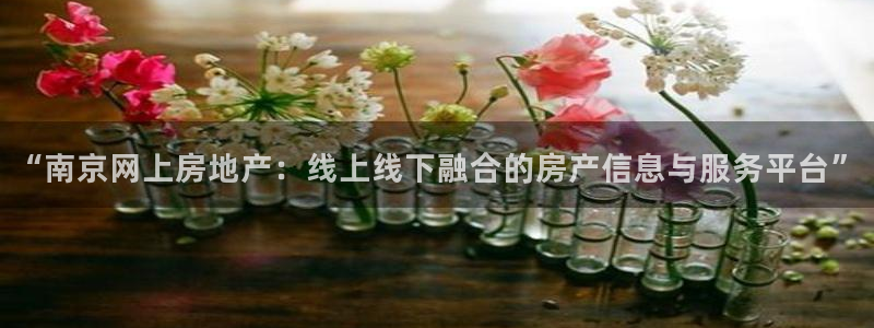 摩登7平台登录：“南京网上房地产：线上线下融合的房产信息与服