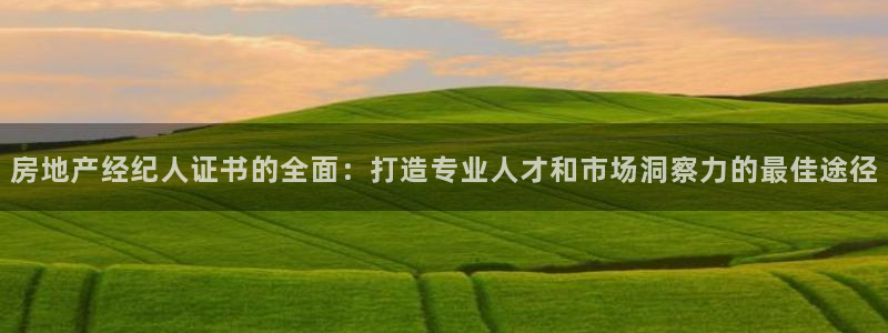 摩登7后：房地产经纪人证书的全面：打造专业人才和市场洞察力的