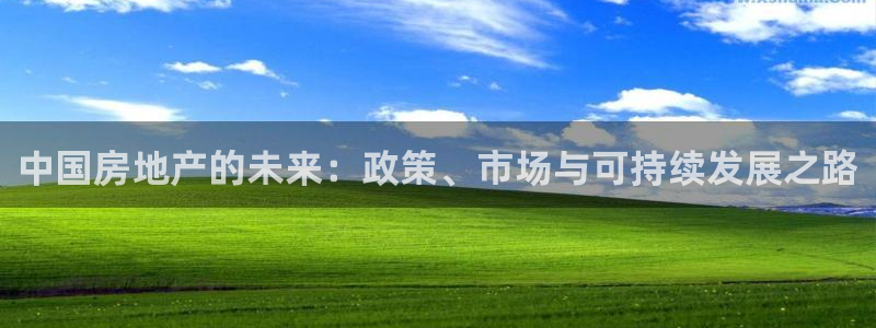 摩登7彩票平台登陆总代：中国房地产的未来：政策、市场与可持续