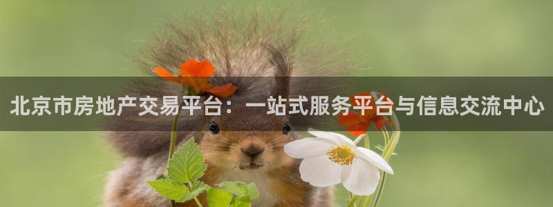 摩登7上级：北京市房地产交易平台：一站式服务平台与信息交流中