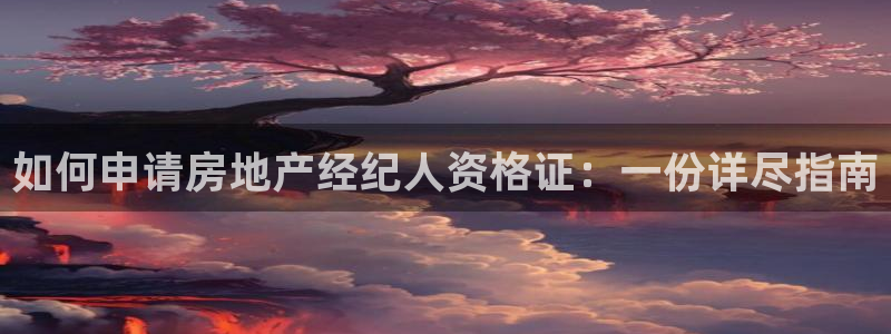 摩登平台局7O777：如何申请房地产经纪人资格证：一份详尽指