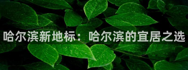摩登7登陆平台：哈尔滨新地标：哈尔滨的宜居之选