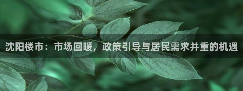 摩登7app下载：沈阳楼市：市场回暖，政策引导与居民需求并重
