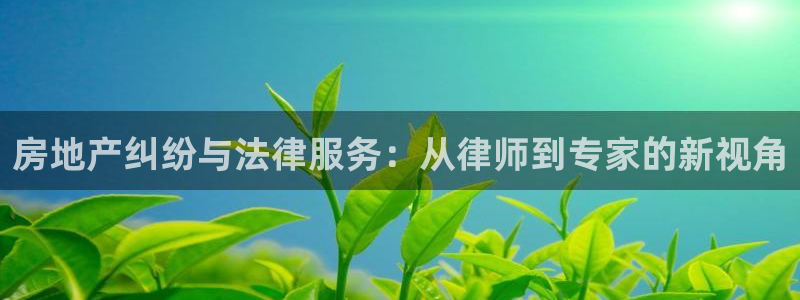摩登4右7O667：房地产纠纷与法律服务：从律师到专家的新视