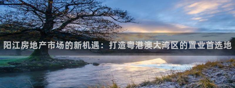 摩登7平台把7O777：阳江房地产市场的新机遇：打造粤港澳大