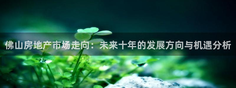 摩登5韩这7O667：佛山房地产市场走向：未来十年的发展方向