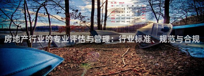 摩登7级：房地产行业的专业评估与管理：行业标准、规范与合规