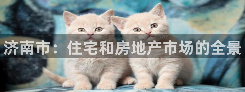 摩登7平台把7O777：济南市：住宅和房地产市场的全景
