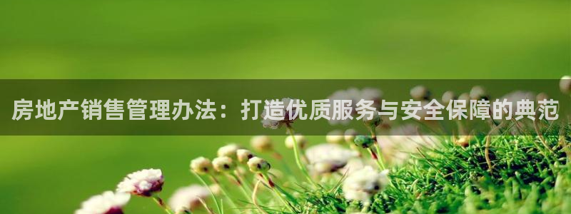 摩登7上级：房地产销售管理办法：打造优质服务与安全保障的典范