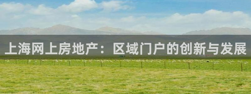 lgg7摩登：上海网上房地产：区域门户的创新与发展