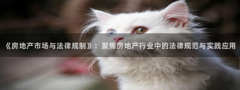摩登3下7O667：《房地产市场与法律规制》：聚焦房地产行业