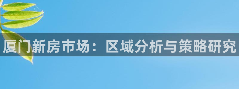 摩登7公司排名：厦门新房市场：区域分析与策略研究