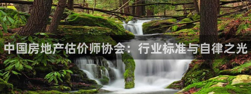 精品摩登7：中国房地产估价师协会：行业标准与自律之光