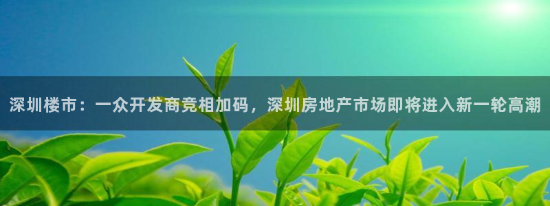 摩登7日7O667：深圳楼市：一众开发商竞相加码，深圳房地产