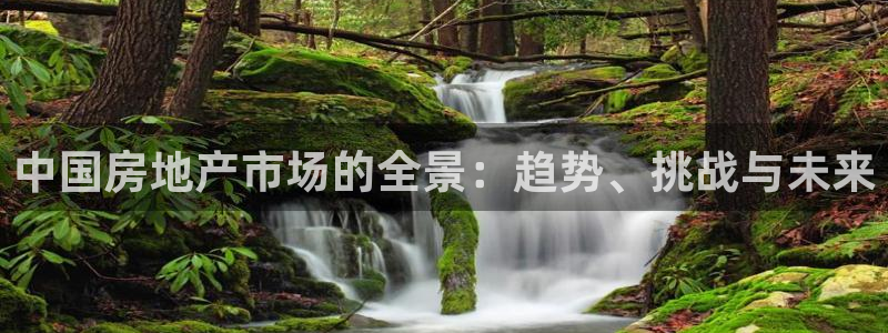 摩登7挂机：中国房地产市场的全景：趋势、挑战与未来