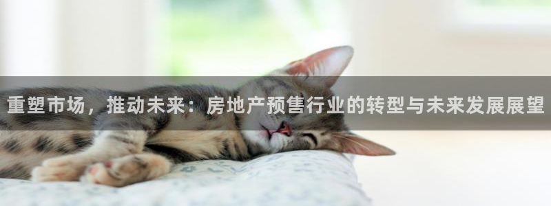 精品摩登7：重塑市场，推动未来：房地产预售行业的转型与未来发